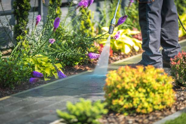 Best Deck and Patio Pressure Washing in Cohasset, MN